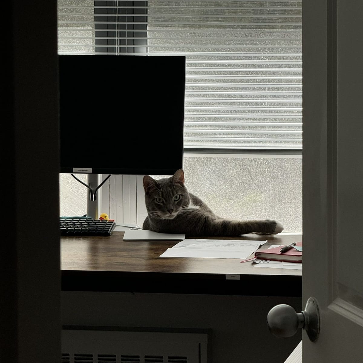 unemployed → self-employed